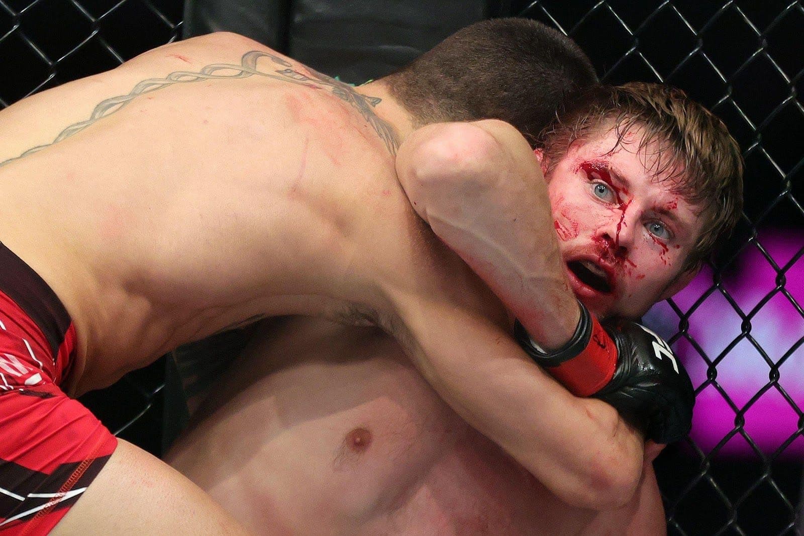 The Best UFC Submissions in 2022